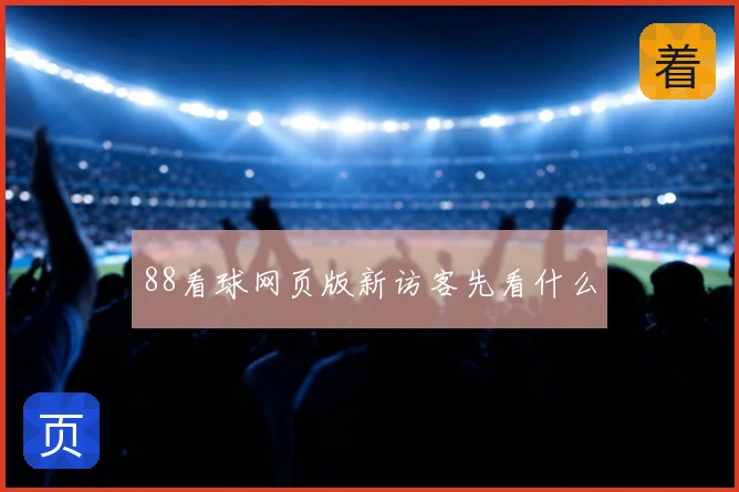 88看球网页版新访客先看什么